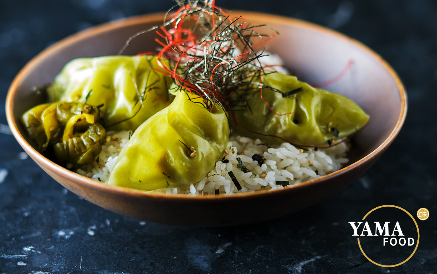 vega gyoza