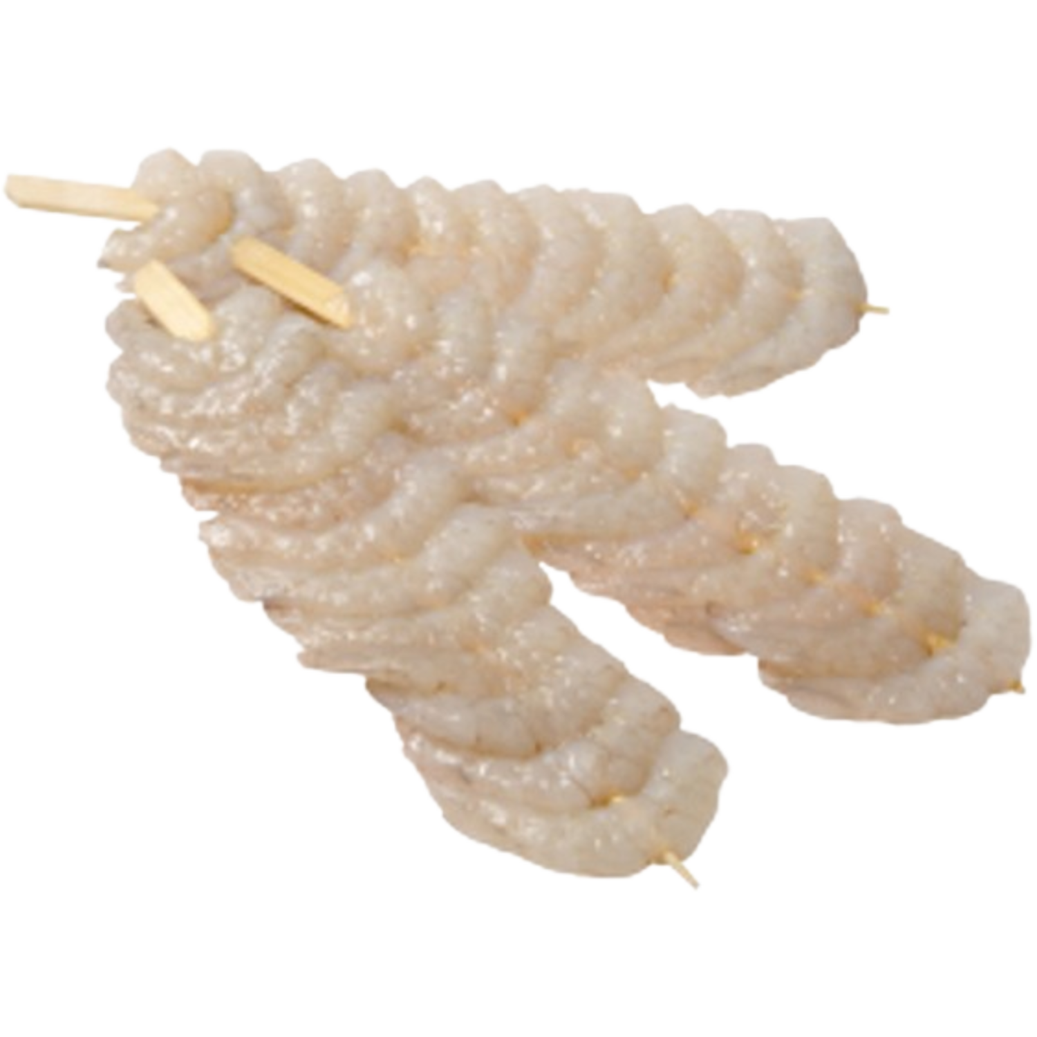 TIJGERGARNAALSPIES  90%  10x100gr  (10)