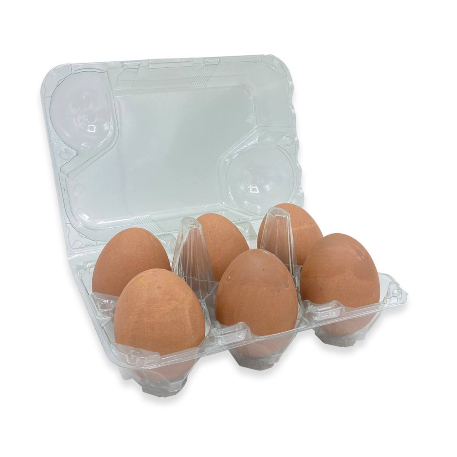 EIERDOOS TRANSPARANT VOOR 6 EIEREN