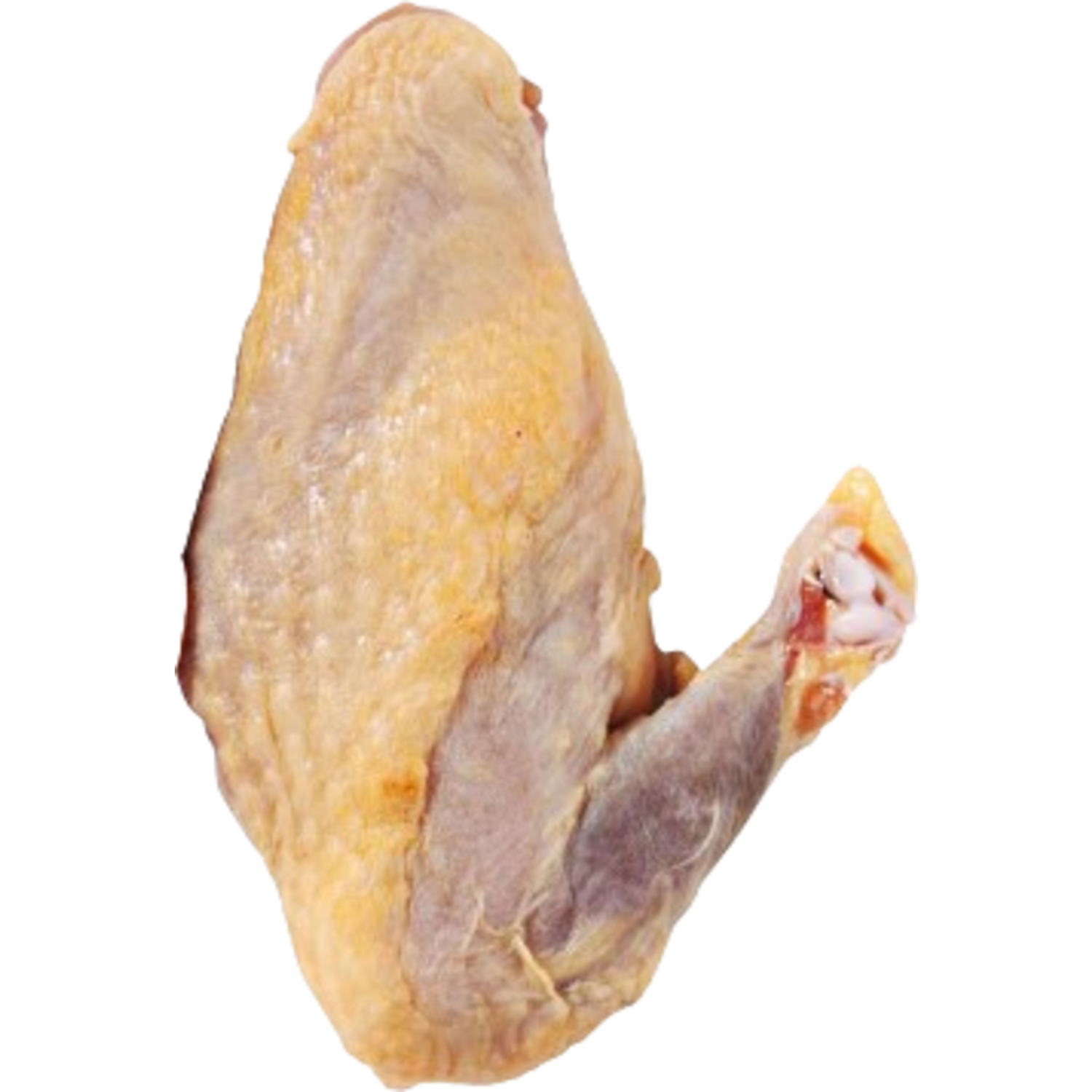 PARELHOENFILET MET STICK 2x ca150gr