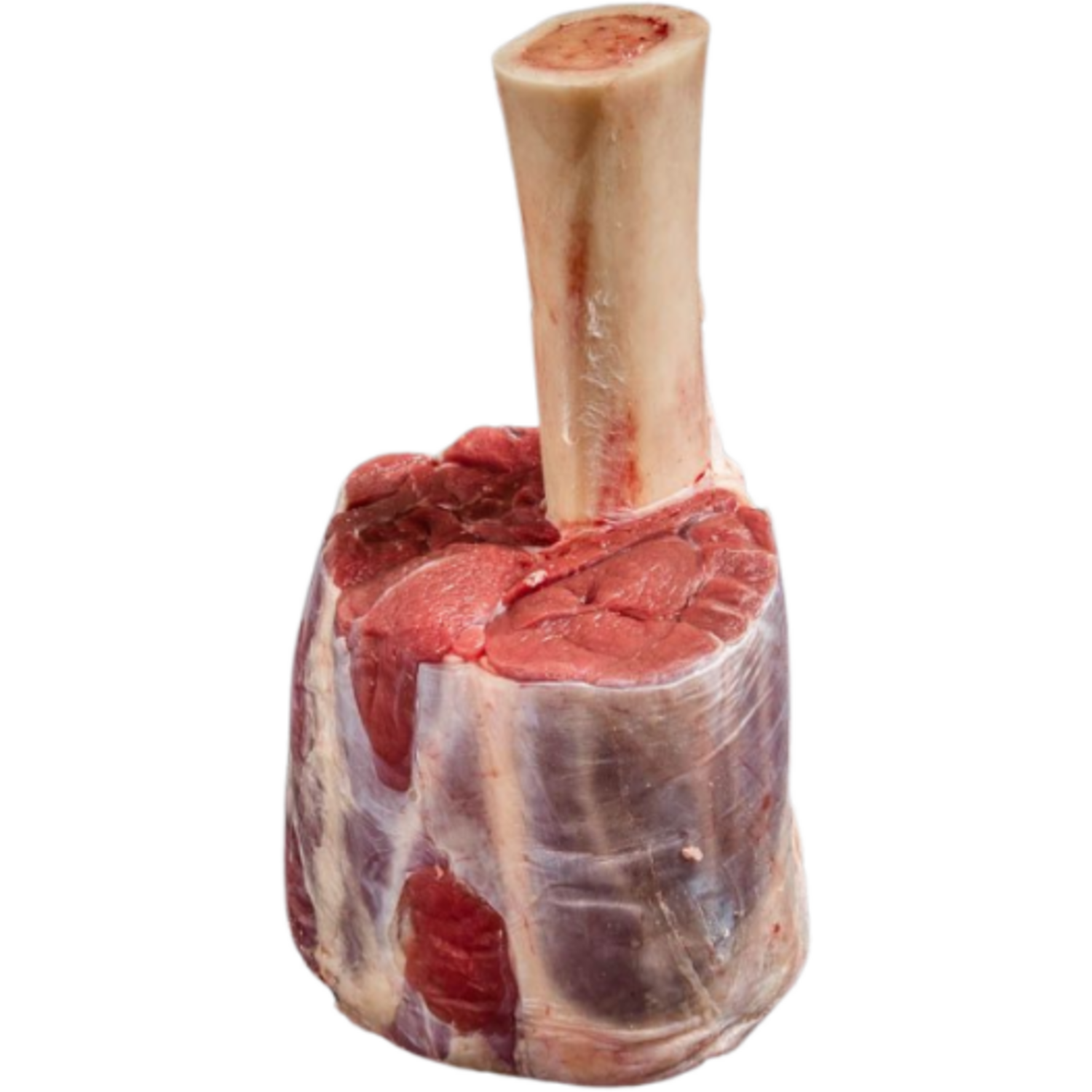 DB BEEFHAMMER