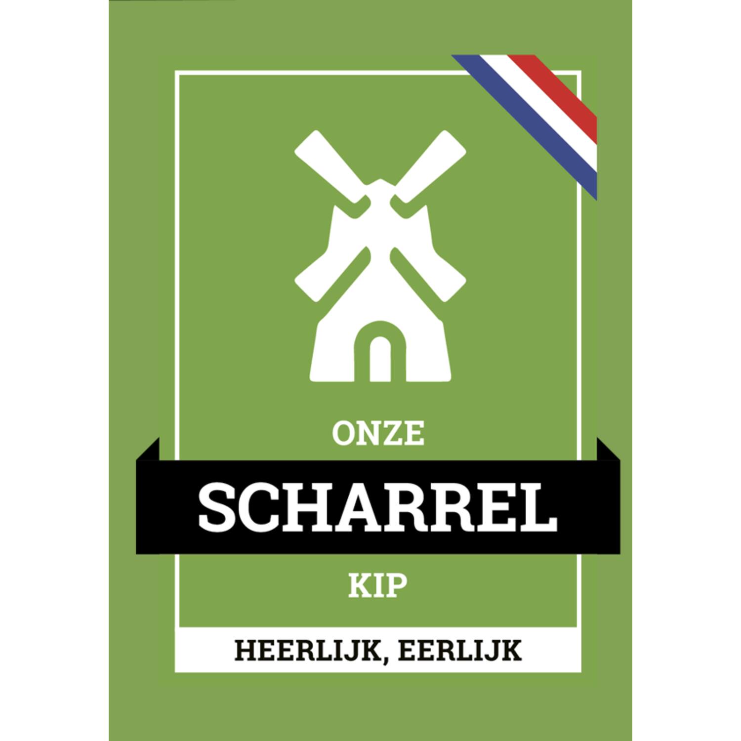 ONZE SCHARRELKIP FLYERS  100st