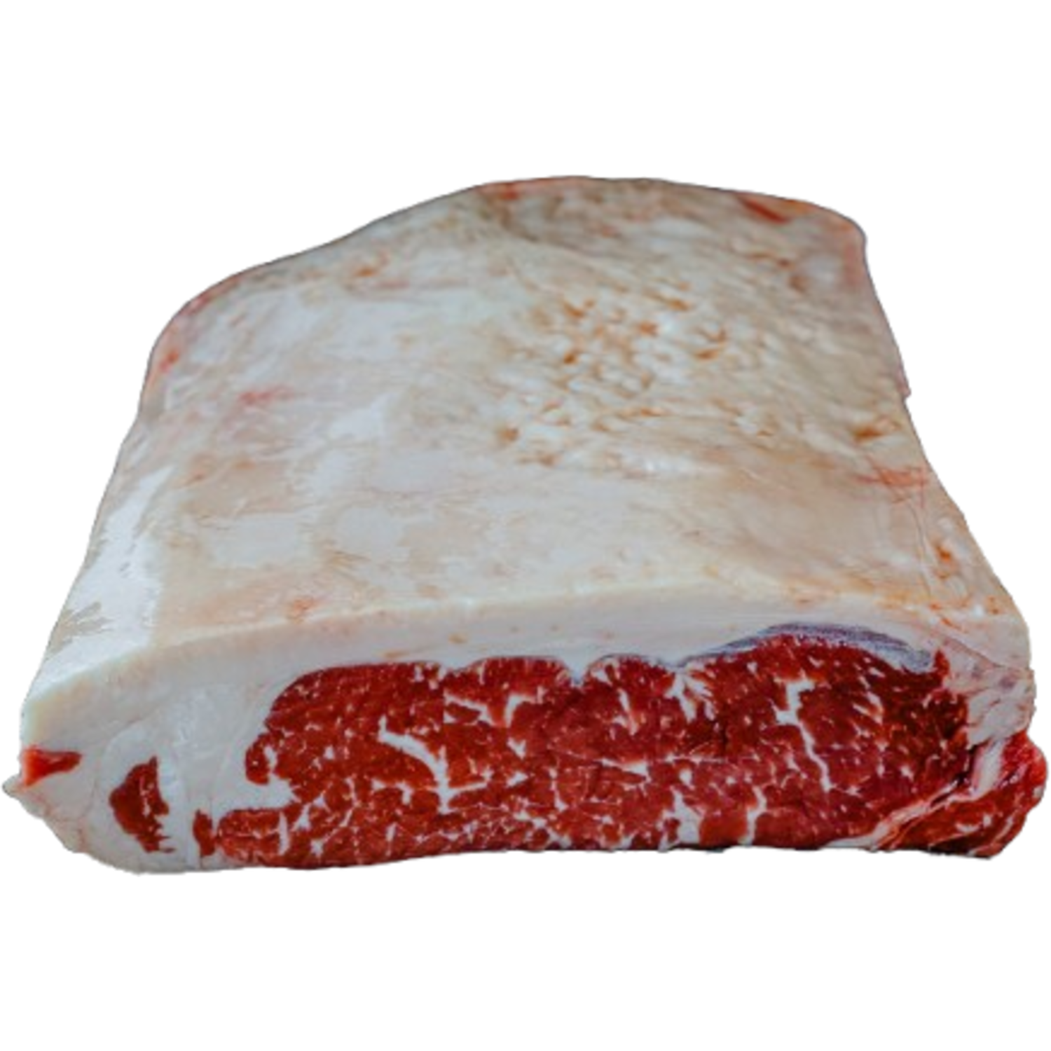 BLACK ANGUS DUNNE LENDE