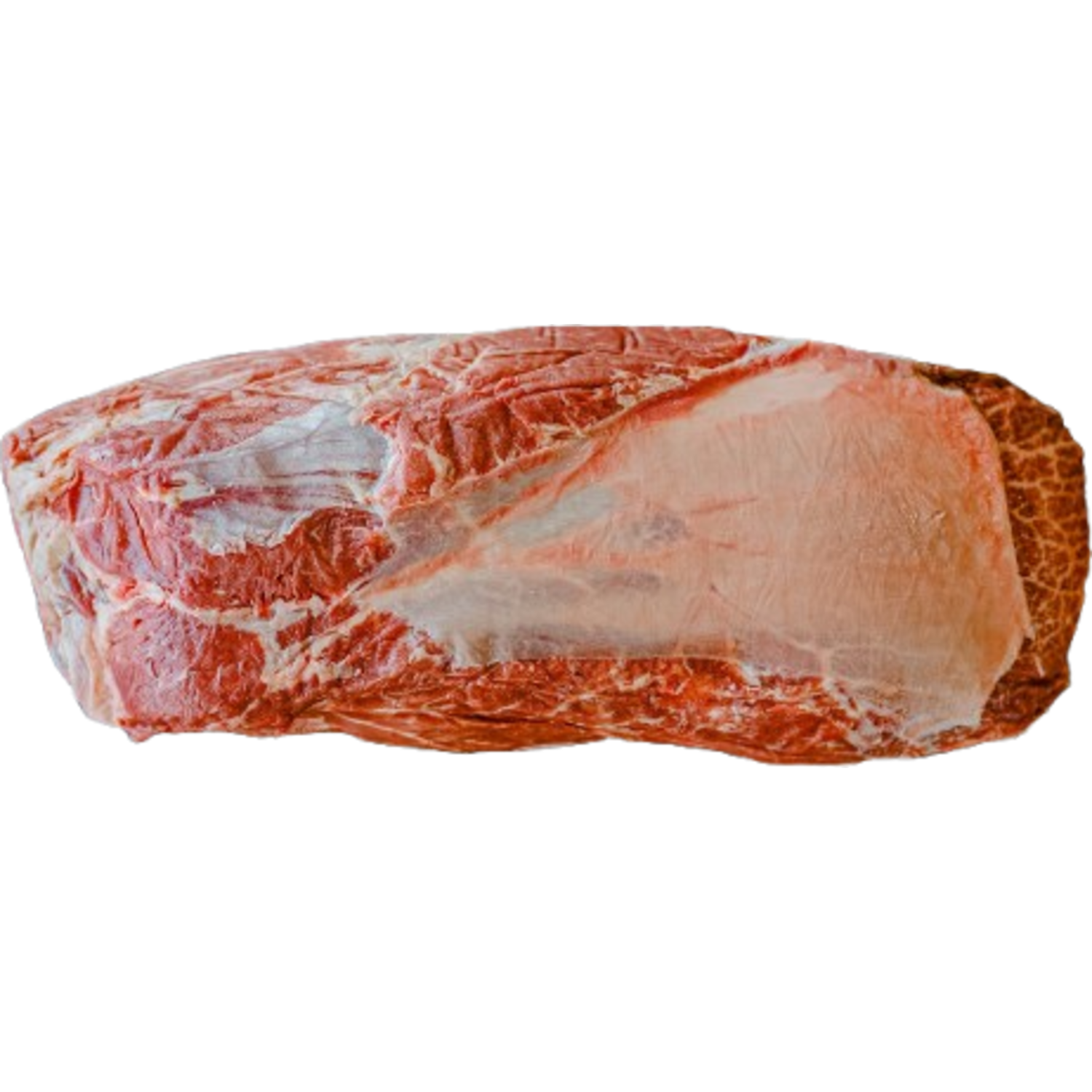 BLACK ANGUS SUCADE