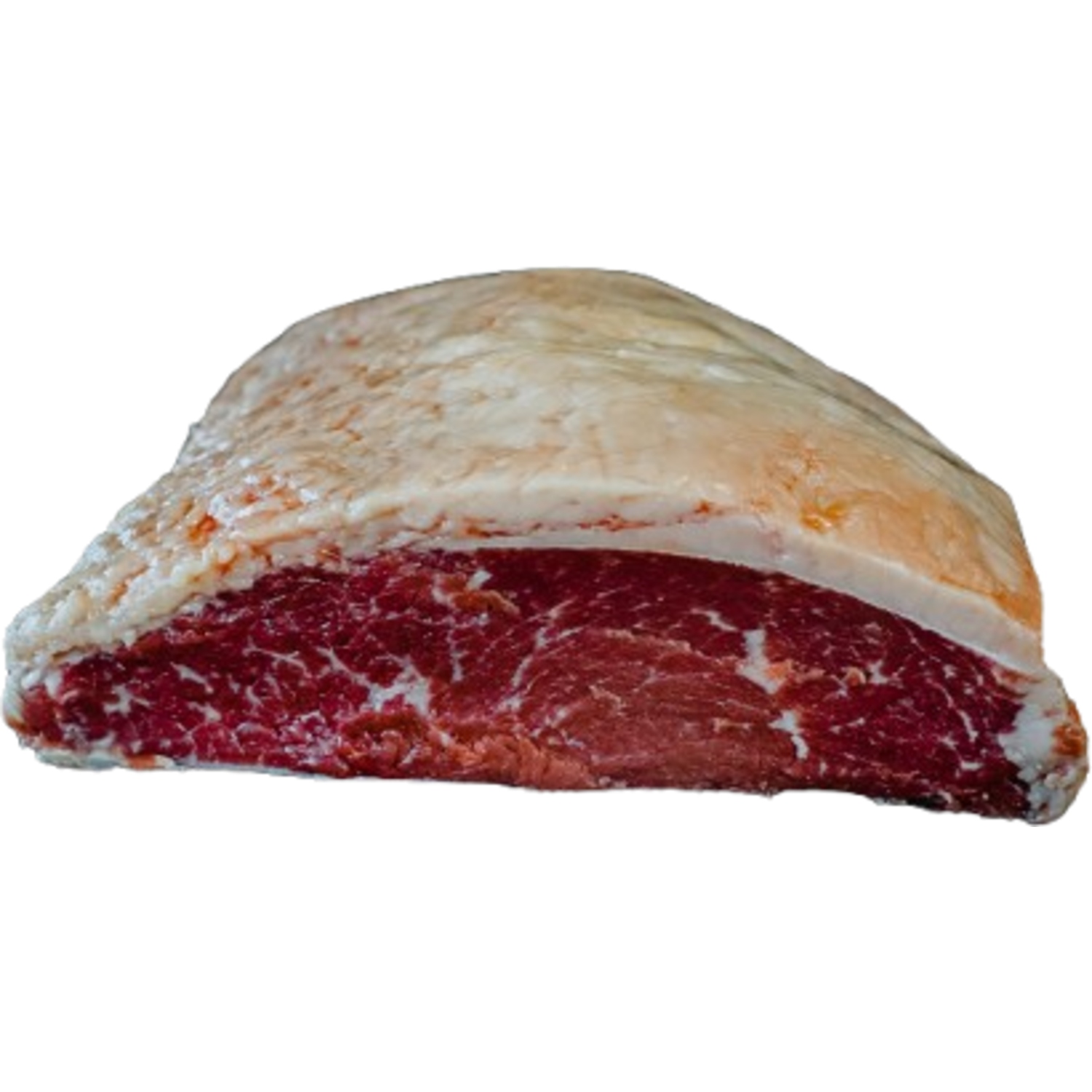 BLACK ANGUS STAARTSTUK