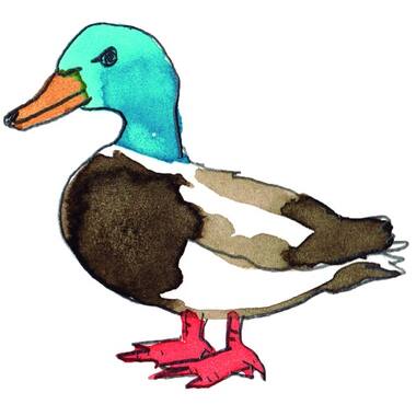 JOKA - FOIE GRAS CANARD CRU opgekuisd