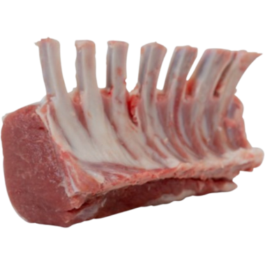 LAMSRACKS (2st) VERS-VAC
