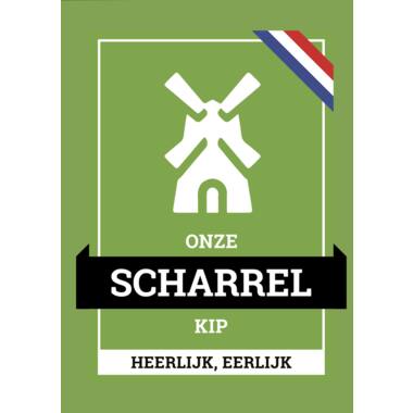 ONZE SCHARRELKIP FLYERS  100st