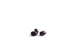 JOKA - KALAMATA OLIJVEN mp 1kg