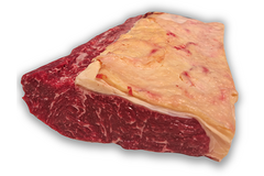 DUNNE LENDE 3.5-4.0 kg  BPU URUGUAY