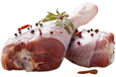 KALKOENPOOT MANNELIJK  (6)
