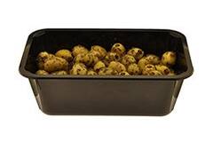 JUMBO PROVENCAALSE OLIJVEN  800gr