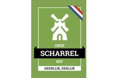 ONZE SCHARRELKIP FLYERS  100st