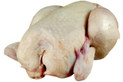 POUSSIN 400-450gr  15st