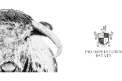 ESTATE BURGERS 40x150gr PRUMPELSTOWN DPV
